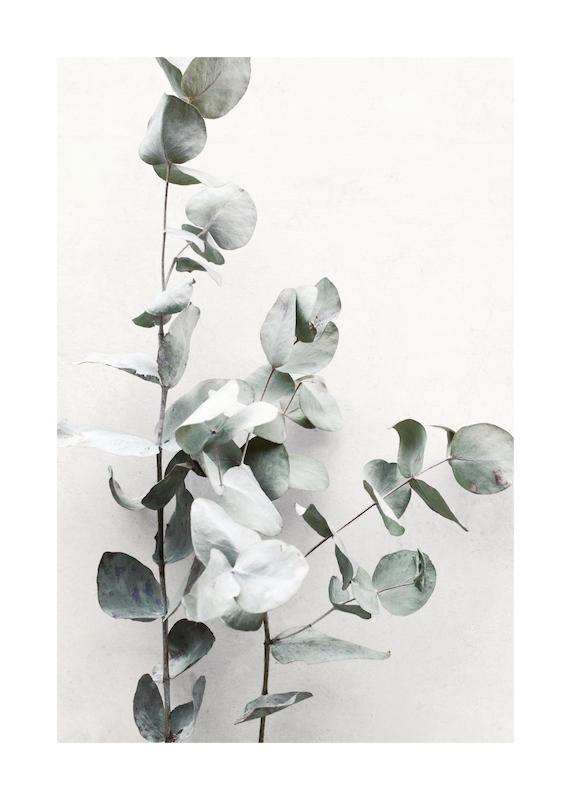 تابلو Eucalyptus Twigs No1 در دکوراسیون مدرن