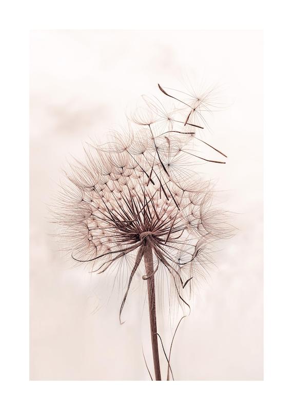 تابلو Delicate Dandelion در دکوراسیون مدرن