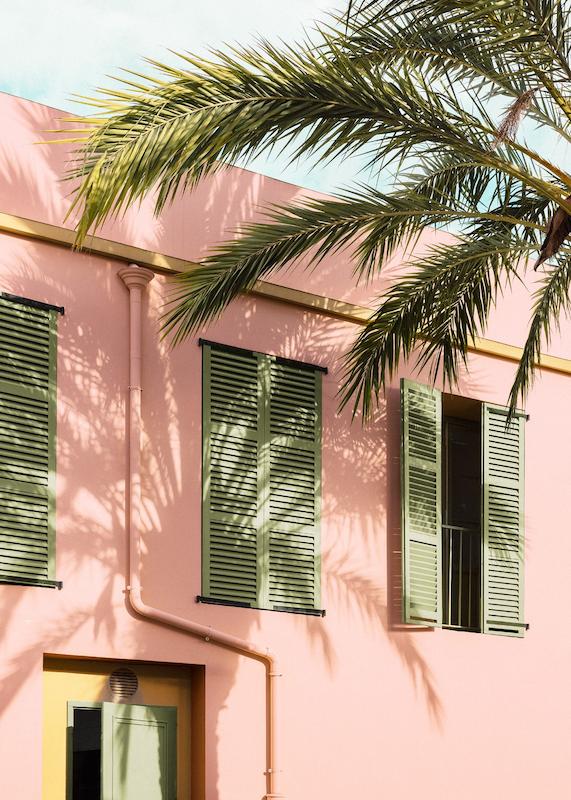 تابلو Palm and Pastel در دکوراسیون مدرن