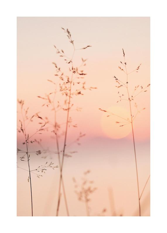 تابلو Pastel Sunset در دکوراسیون مدرن