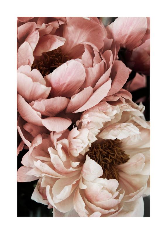 تابلو Coral Sunset Peony در دکوراسیون مدرن