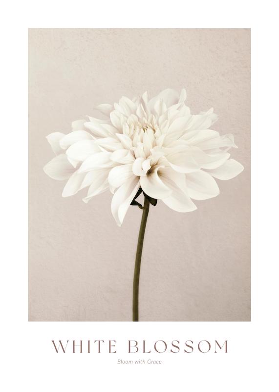 تابلو White Blossom No1