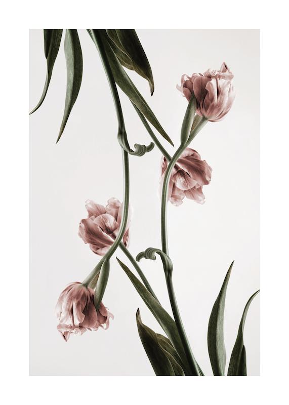 تابلو Pink Tulipe No2 در دکوراسیون مدرن