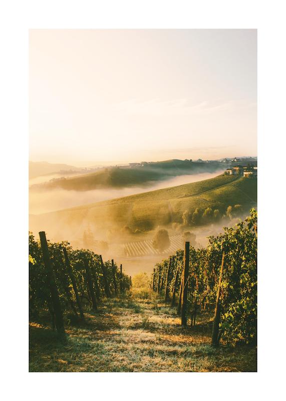 تابلو Langhe Vineyard در دکوراسیون مدرن