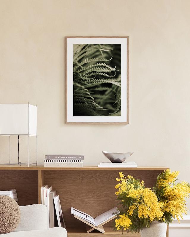تابلو Fern Close Up