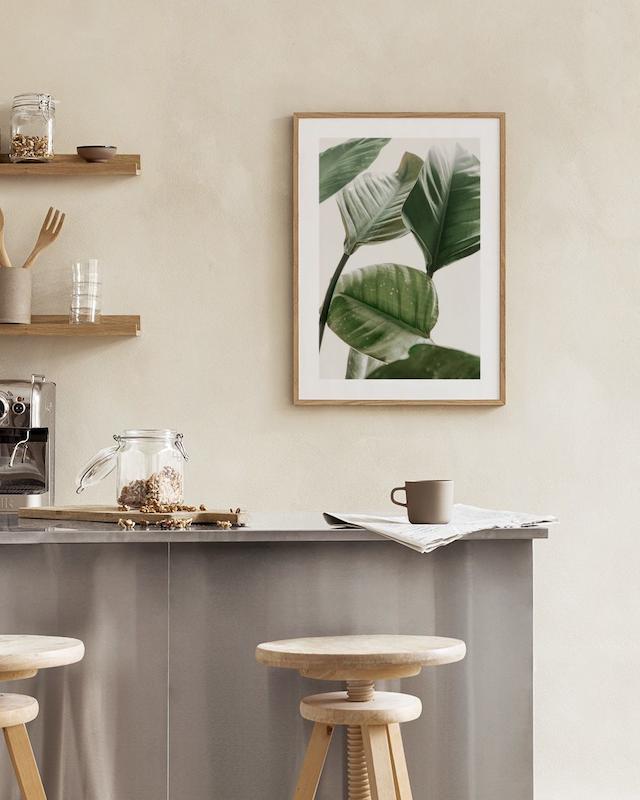 تابلو Strelitzia Plant No2 در دکوراسیون مدرن