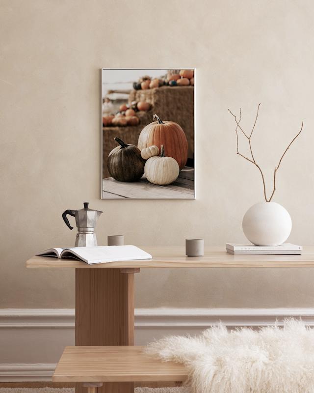 تابلو Pumpkin Variety در دکوراسیون مدرن
