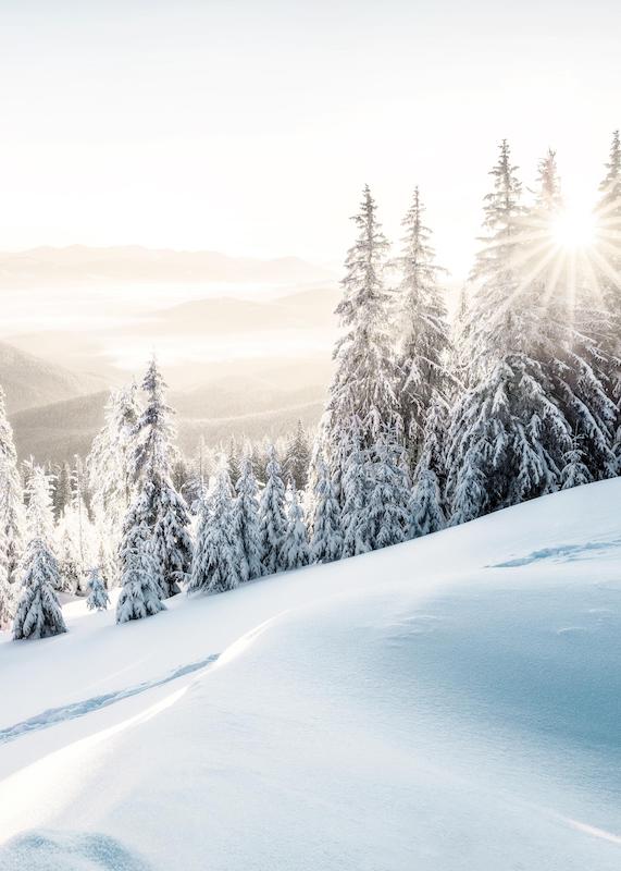 تابلو Winter Sunrise در دکوراسیون مدرن