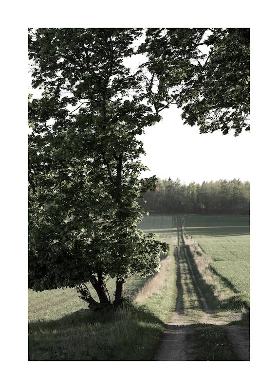 تابلو Country Road در دکوراسیون مدرن