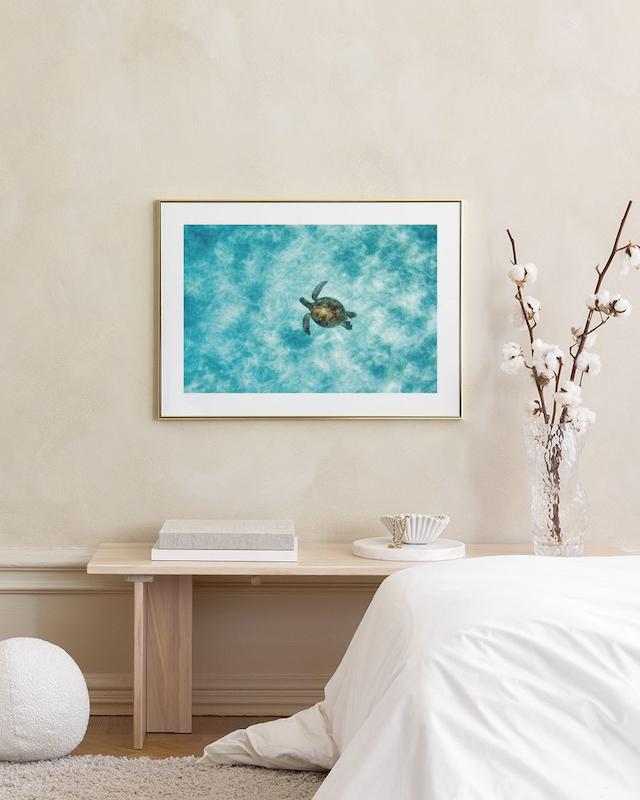 تابلو Green Sea Turtle