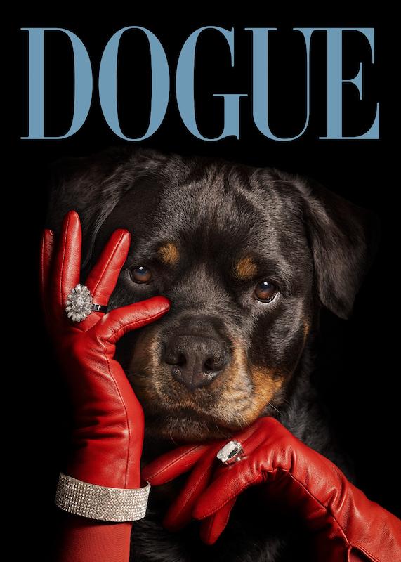 تابلو Dogue No3 در دکوراسیون مدرن