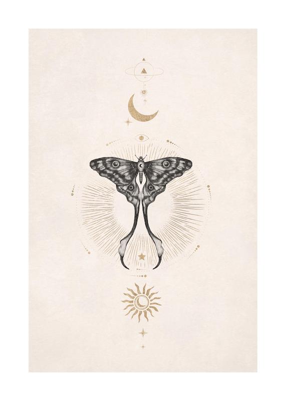 تابلو Moon Star Butterfly