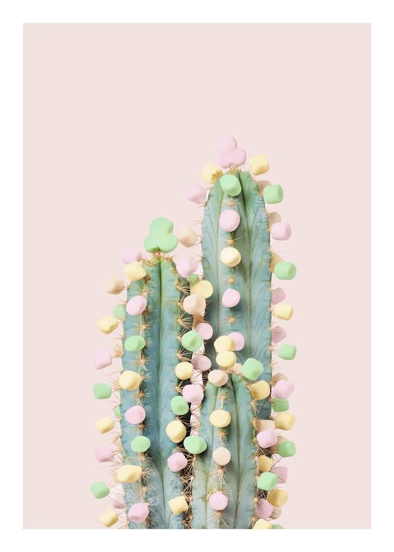 تابلو Candy Cactus