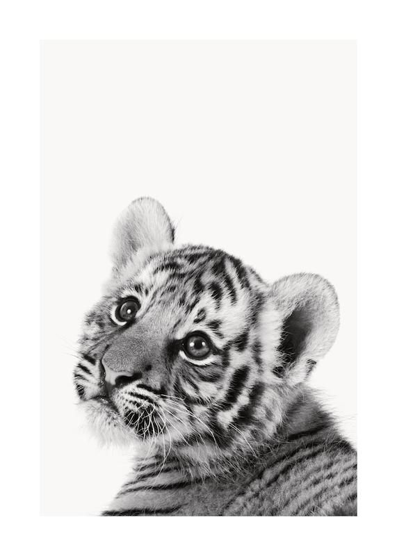تابلو Baby Tiger