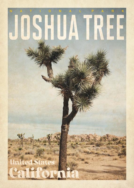 تابلو Joshua Tree در دکوراسیون مدرن