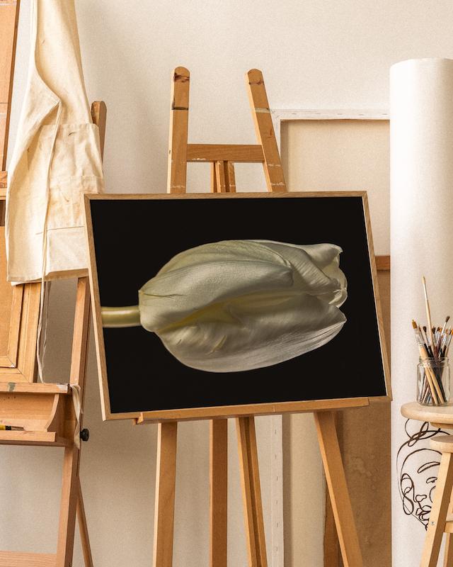 تابلو Tulip Study در دکوراسیون مدرن