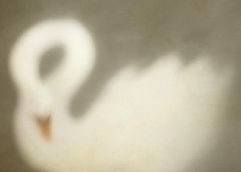 تابلو Soft Swan در دکوراسیون مدرن