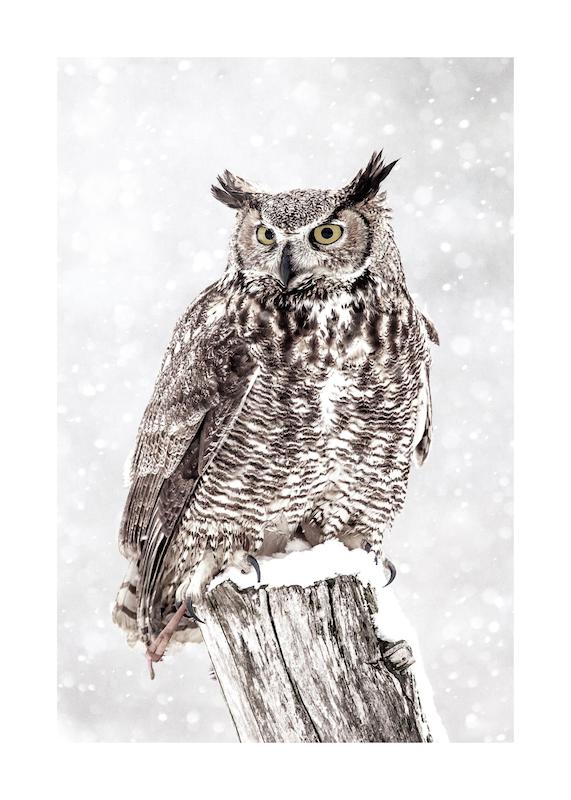 تابلو Owl in Snowfall در دکوراسیون مدرن