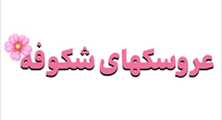 50437112 عروسکهای دستساز شکوفه 