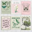 پک پوستر Green pink