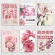 پک پوستر flowers pink vibe