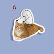 استیکر How to hold cats