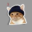 استیکر Meme cat Warm clothes