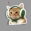 استیکر Meme cat Warm clothes