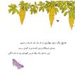 داگلی بغلی 