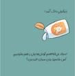 مجموعه خرگوشی: برو حمام خرگوشی 