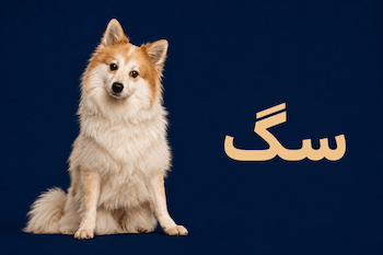 سگ ژین