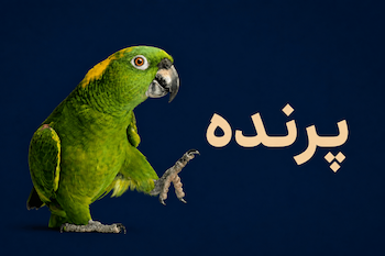 پرنده