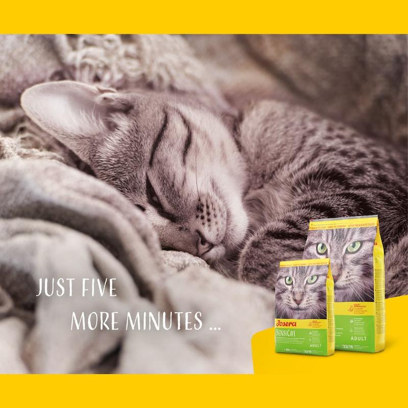 غذای خشک گربه جوسرا سنسی‌کت