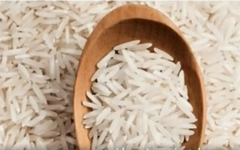 برنج مرغوب و ممتاز هاشمی گیلان