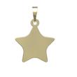 پلاک و آویز گردنبند طلا مدل ستاره کد PA15361