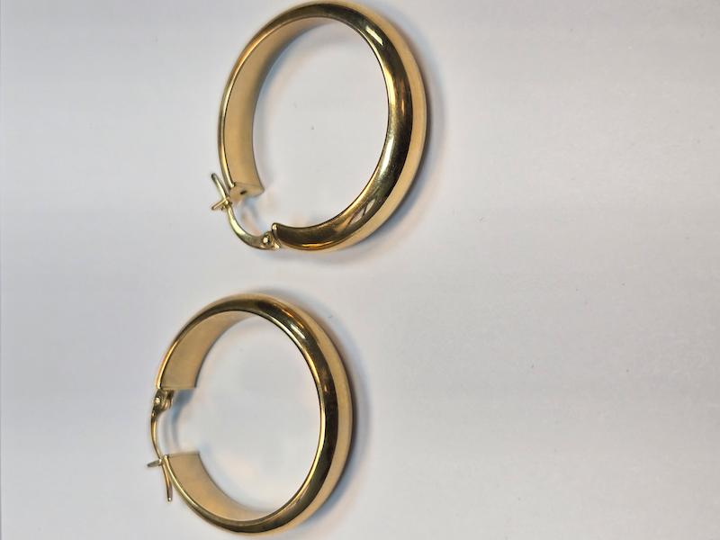 گوشواره طلا 18 عیار زنانه پریدخت گالری مدل حلقه ای دامله کد PAE002501