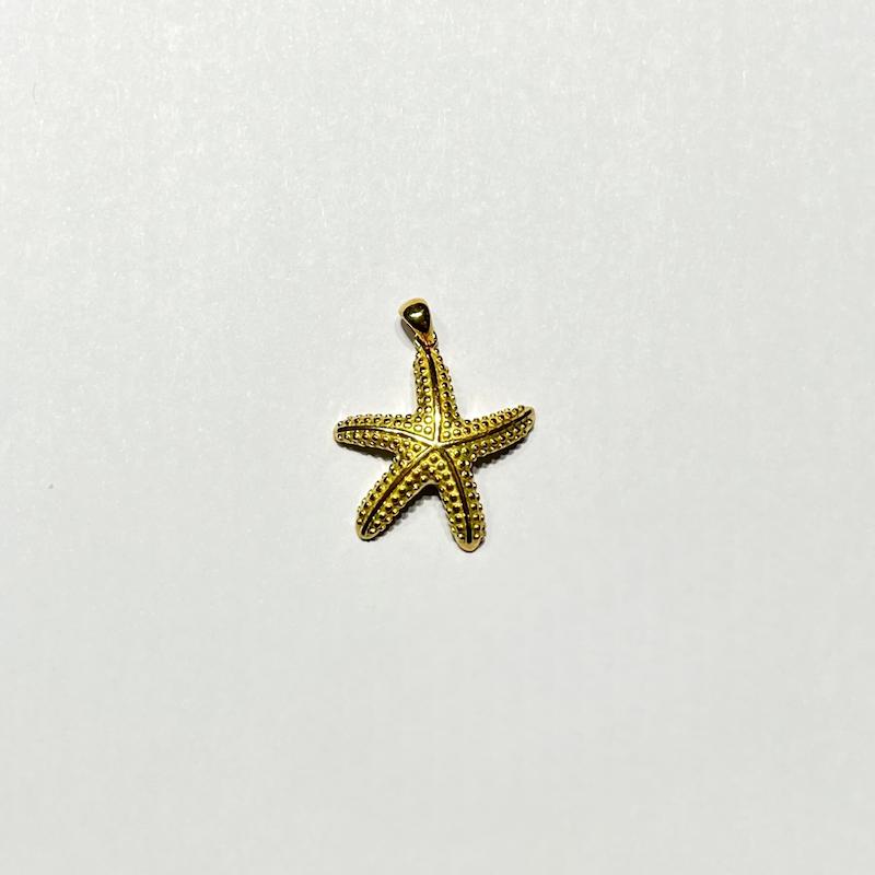 آویز طلا ۱۸ عیار ستاره دریایی گالری طلا دوران