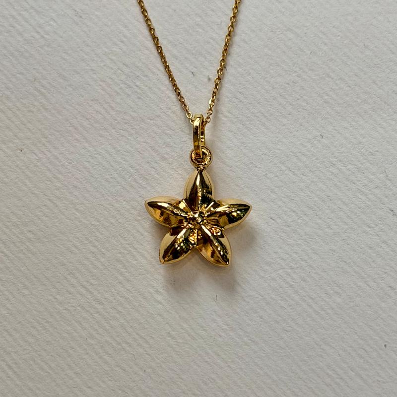 آویز زنانه طلا ۱۸ عیار گل پنج پر گالری سین سین