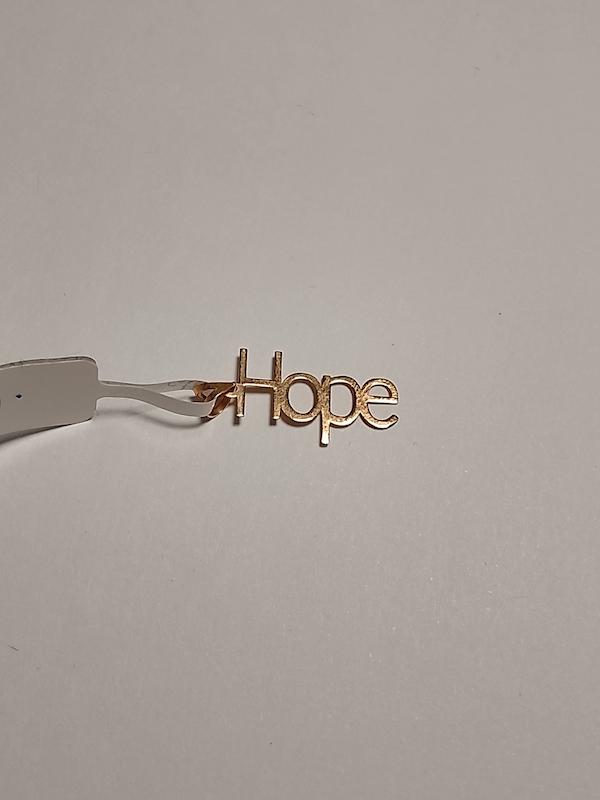 آویز زنانه طلا ۱۸ عیار آویز طلای ۱۸عیار زنانه مدل HOPE زرکیاوان