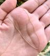 زنجیر زنانه طلا ۱۸ عیار فلامینگو (۴۵ سانتی‌متر) VoGa GOLD