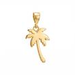 آویز طلا ۱۸ عیار نخل Shgold