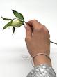 بنگل زنانه طلا ۱۸ عیار بنگل کارتیه لاو گالری سارگلد