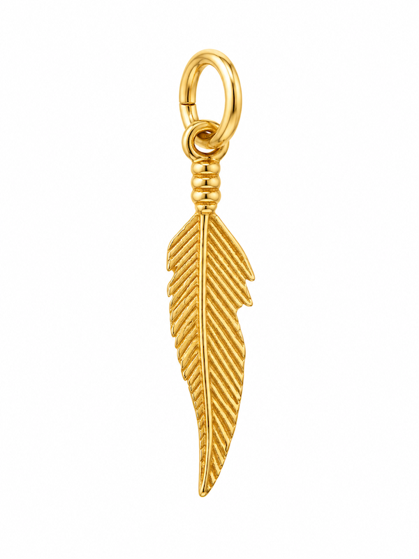 آویز زنانه طلا ۱۸ عیار پلاک طلا پر دارا گلد
