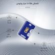 آویز طلا ۱۸ عیار آویز شمش طلا ۱۸ عیار طرح بیضی نگارگری مدل Vetos جواهری ساسانی