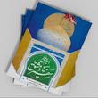 جلد کتاب اسیر عشق سفیر دمشق درباره حضرت رقیه سلام‌الله‌علیها