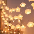 ریسه ابر و ستاره فانتزی