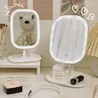 آینه چراغدار مستطیل 
