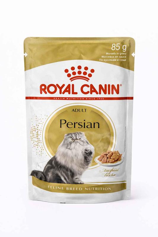 پوچ رویال کنین Persian پرشین