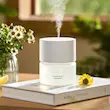 خوش بو کننده هوای هوشمند شیائومی مدل Xiaomi Smart Scent Diffuser MJXFJ02XW