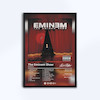 تابلوی طرح آلبوم The Eminem Show از Eminem